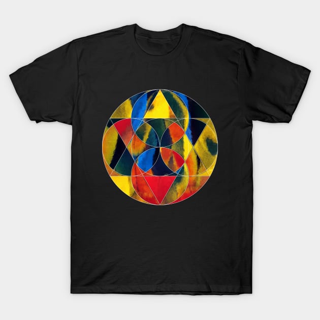 Geometric collage of parrot feathers oil painting T-Shirt by DigitPaint
